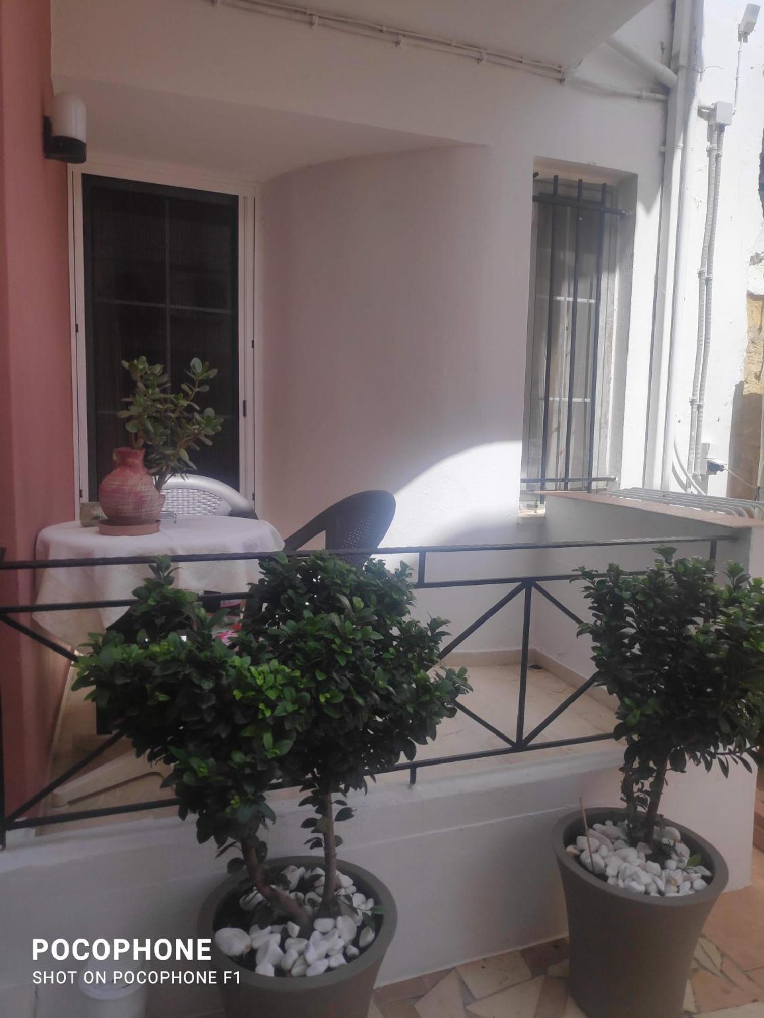 Villa Katerina 干尼亞 外观 照片